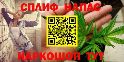 jwh Будённовск