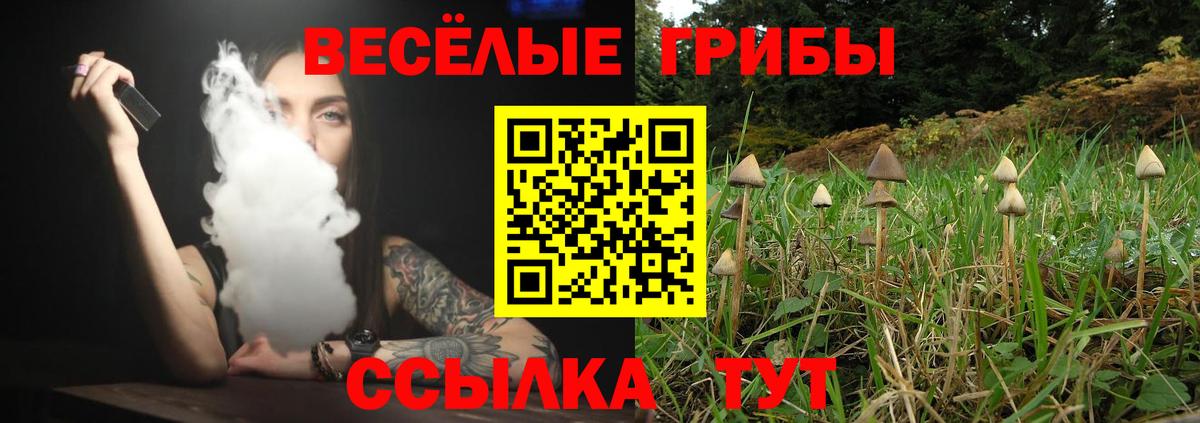Псилоцибиновые грибы Magic Shrooms  Вход с VPN  хочу   Черкесск 
