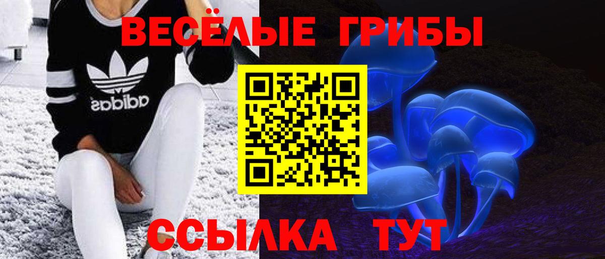 Псилоцибиновые грибы мицелий Черкесск